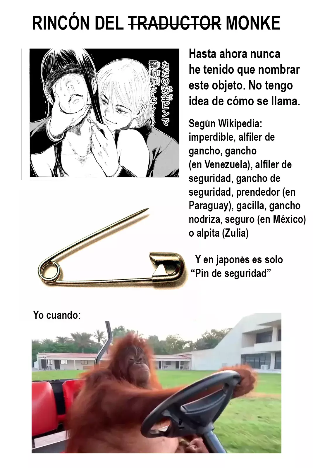 Página 17