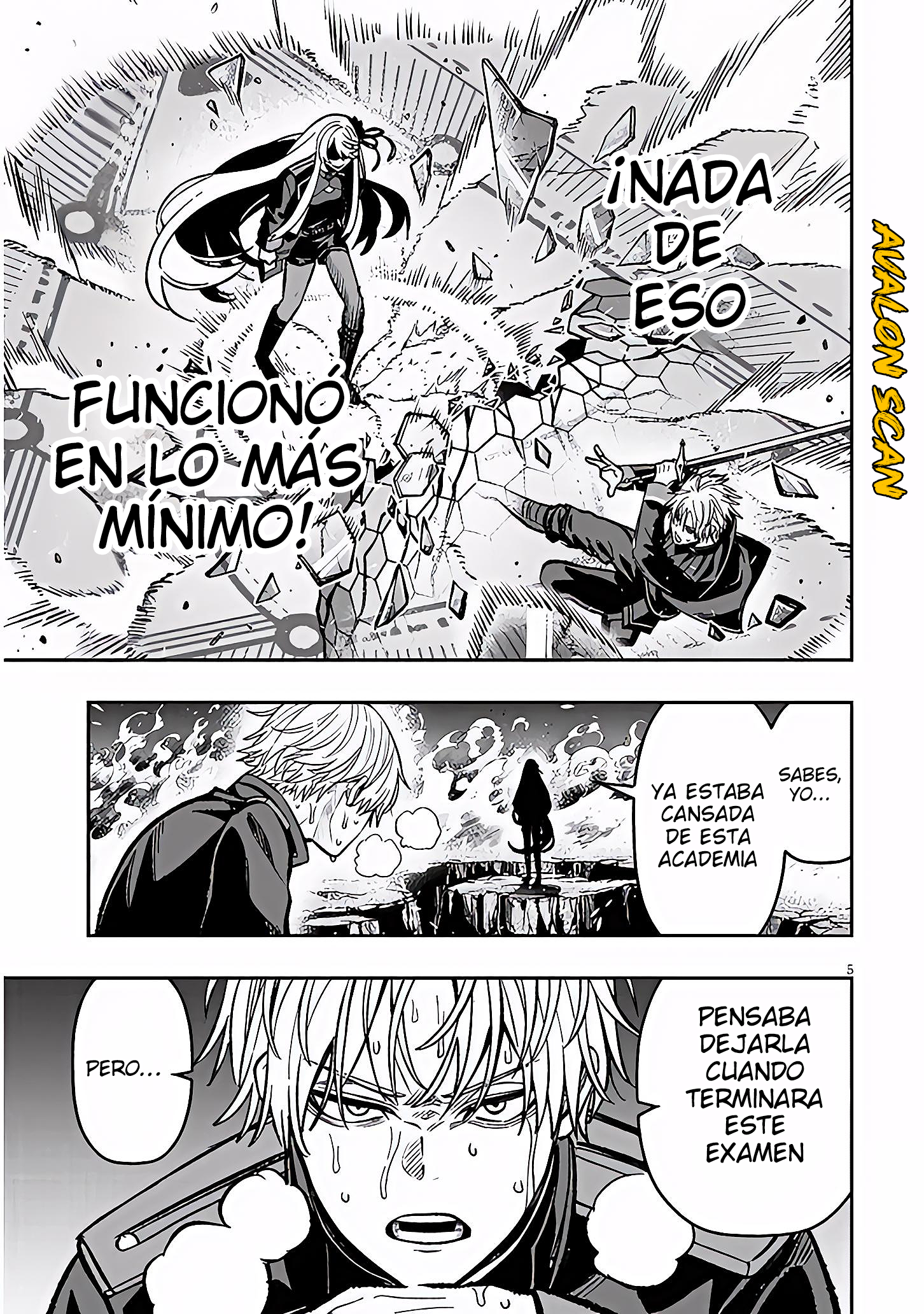 Página 5