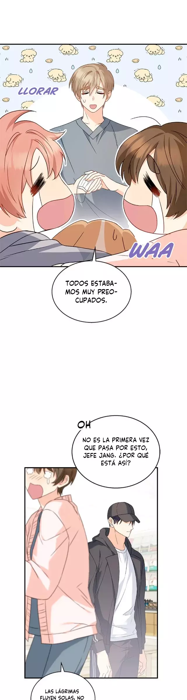 Página 31