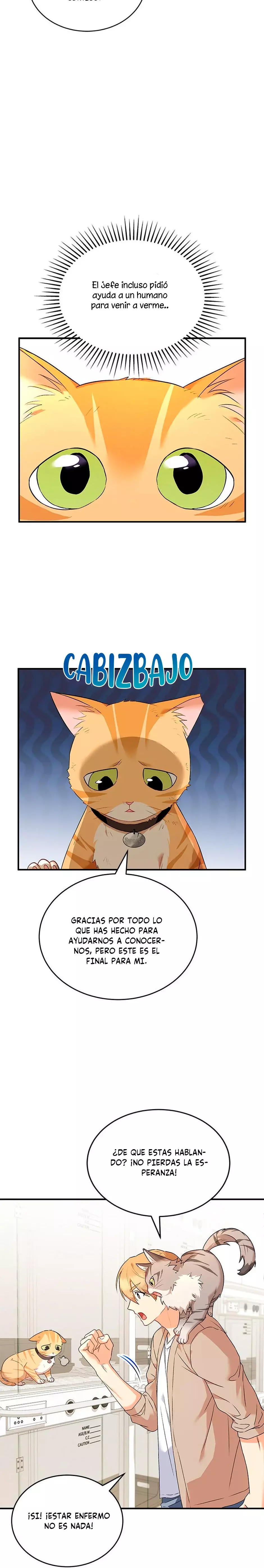 Página 29