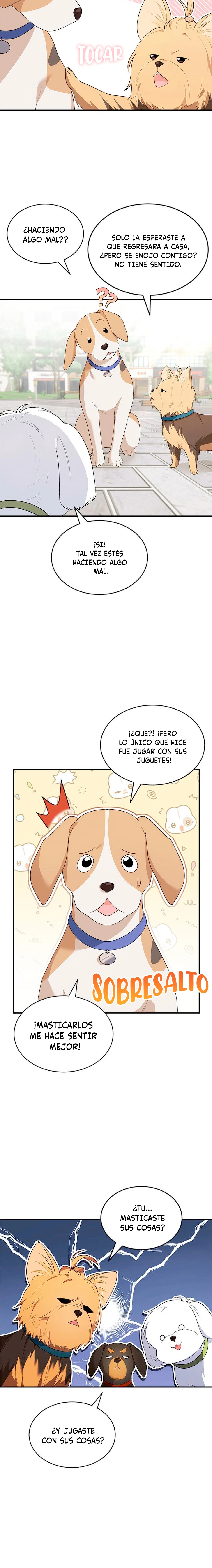 Página 11