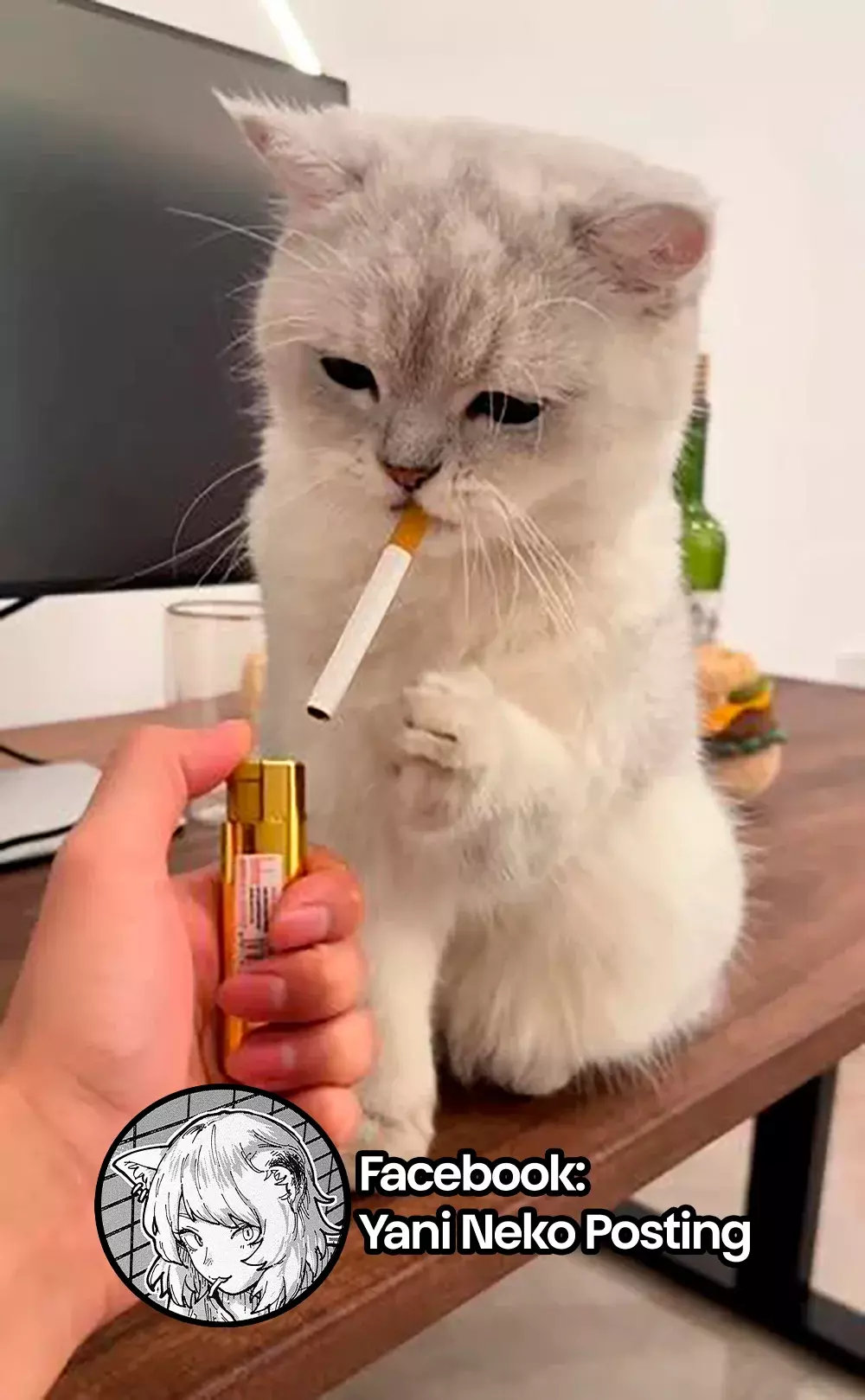 Página 15