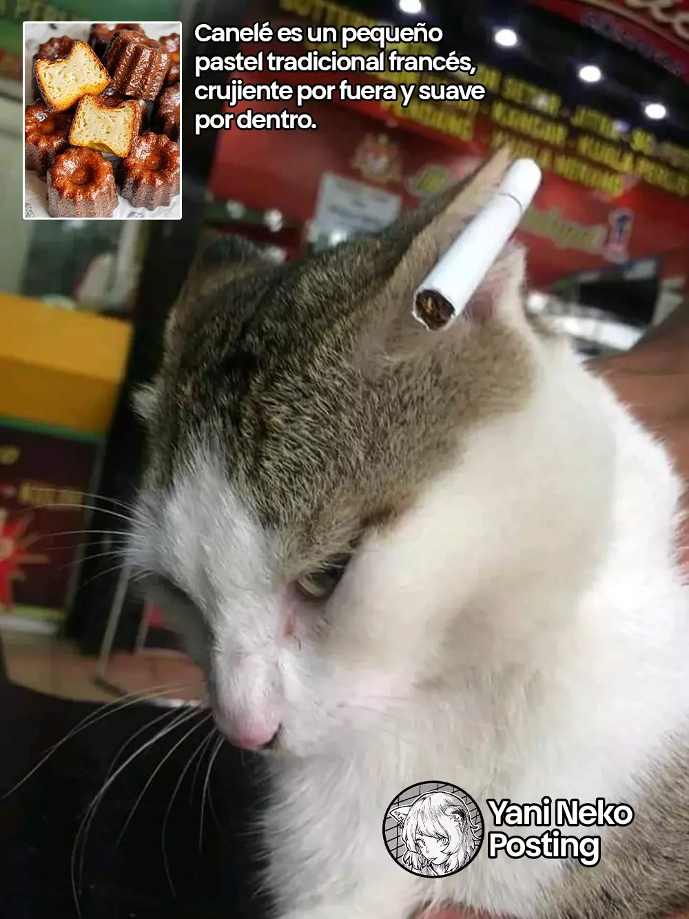 Página 5