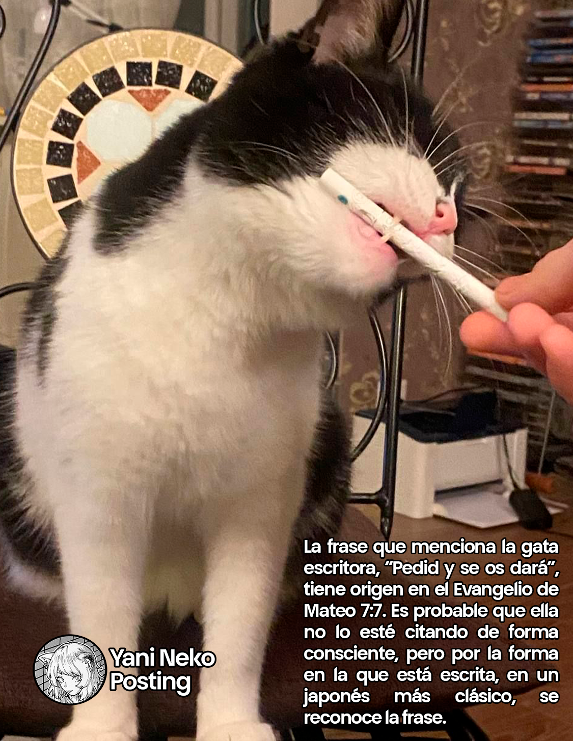 Página 5