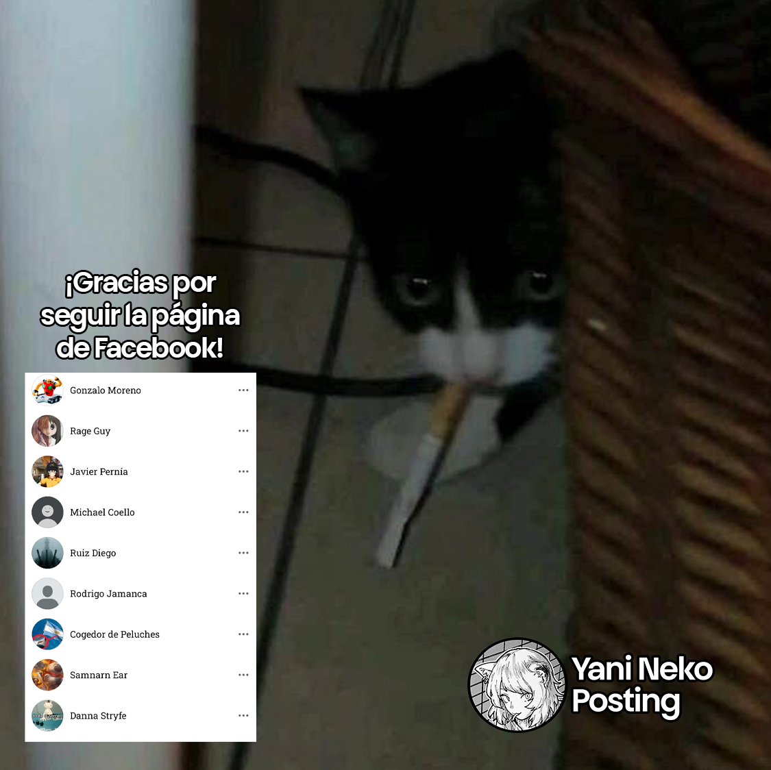 Página 7