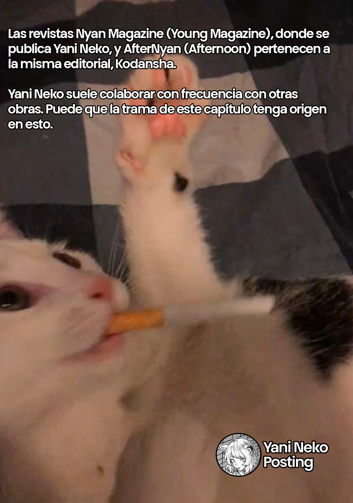 Página 7