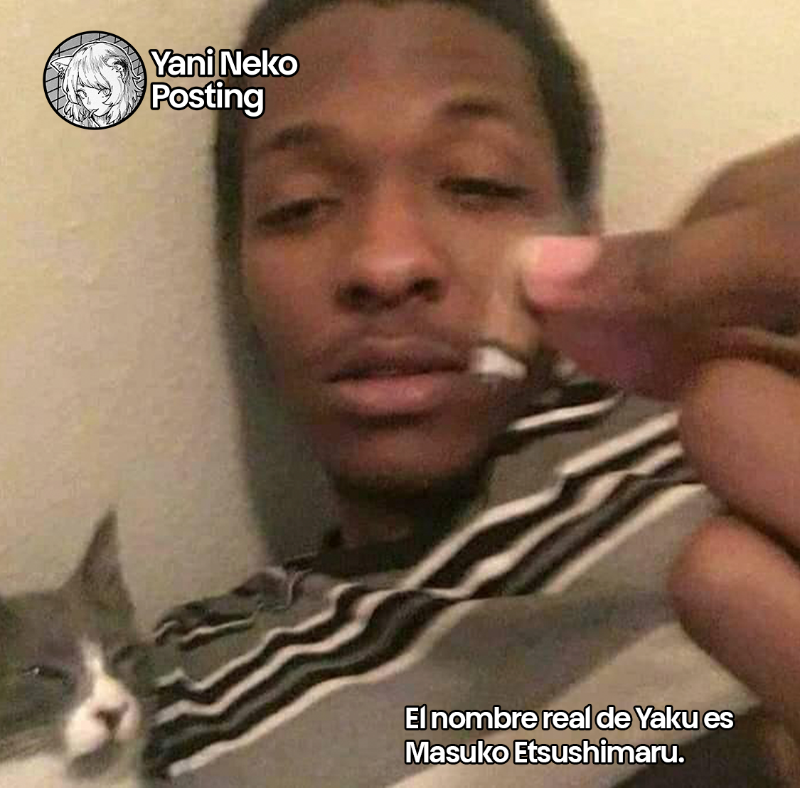 Página 7