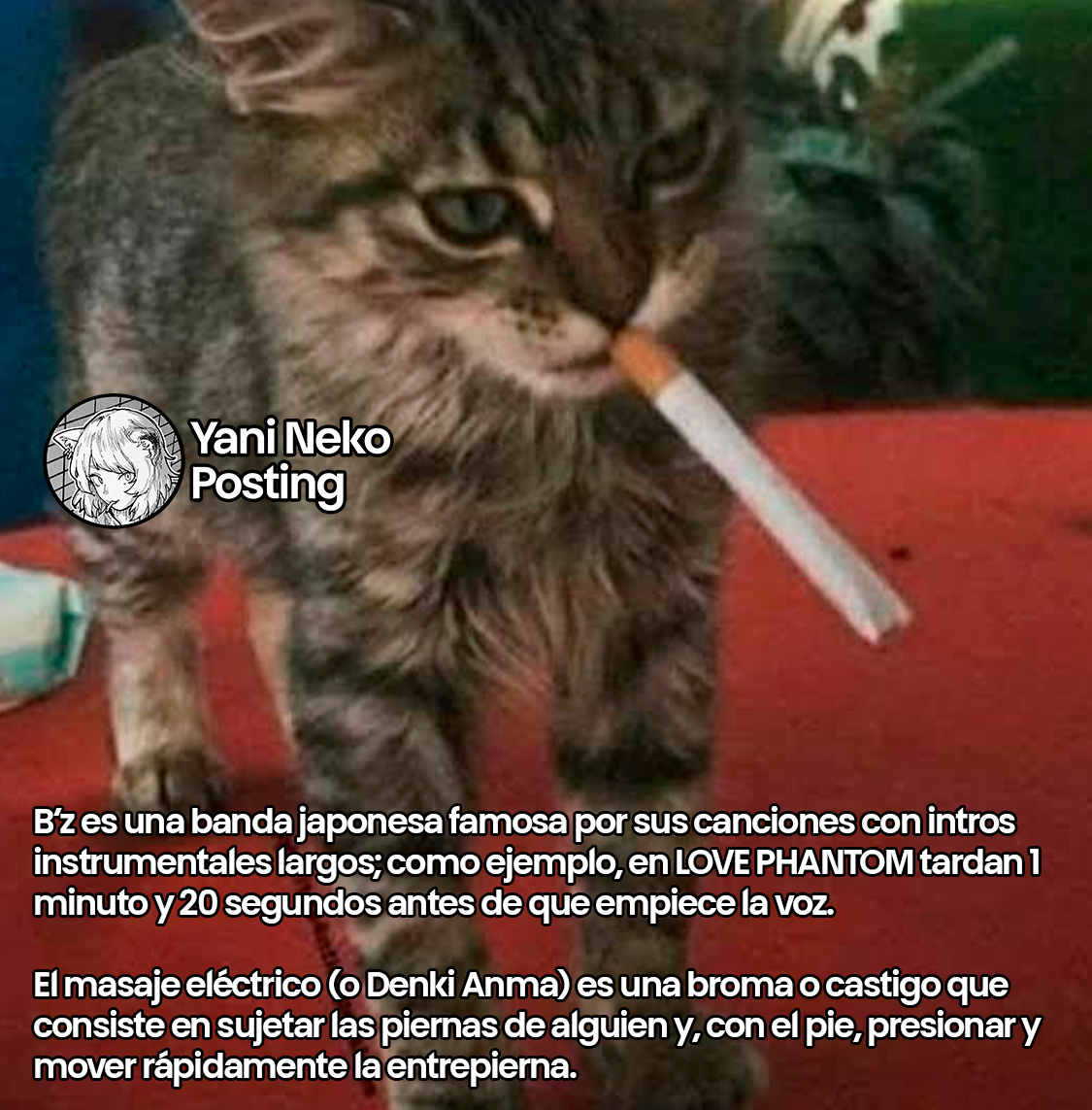 Página 5