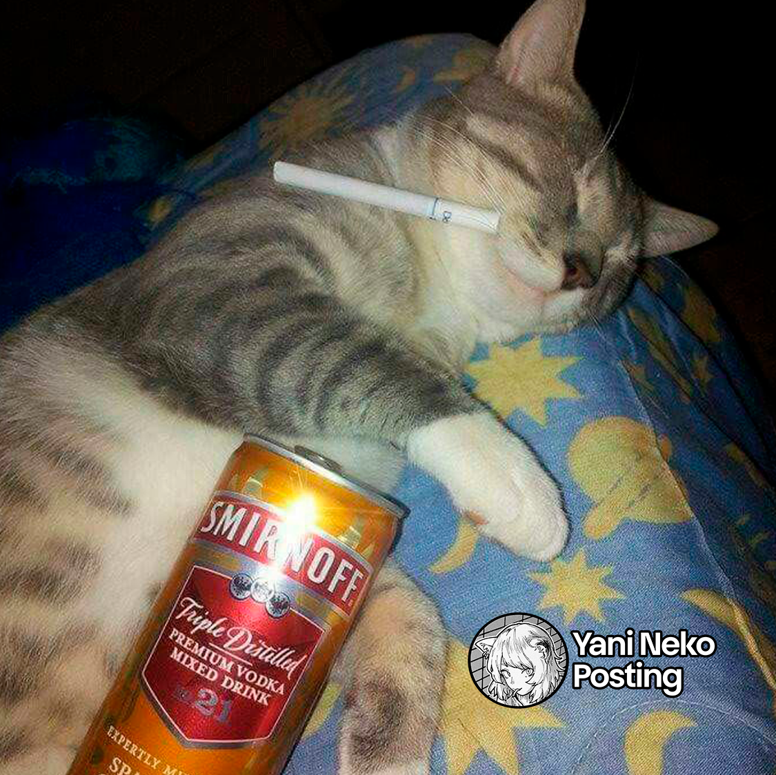 Página 5