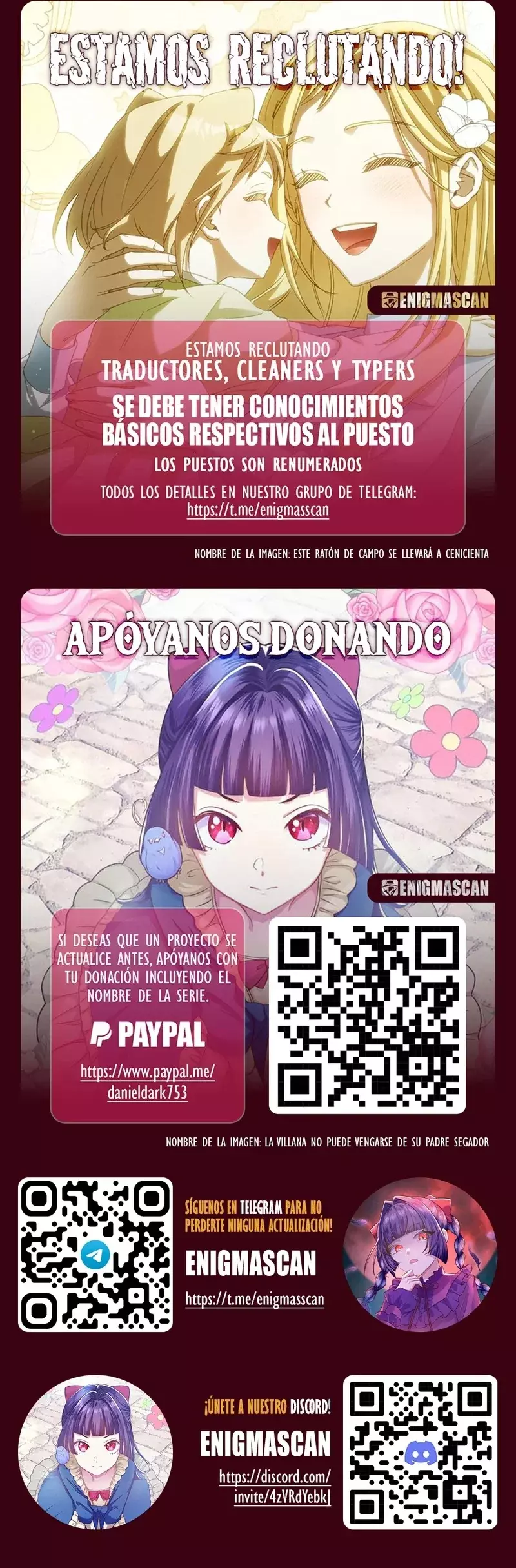 Página 17