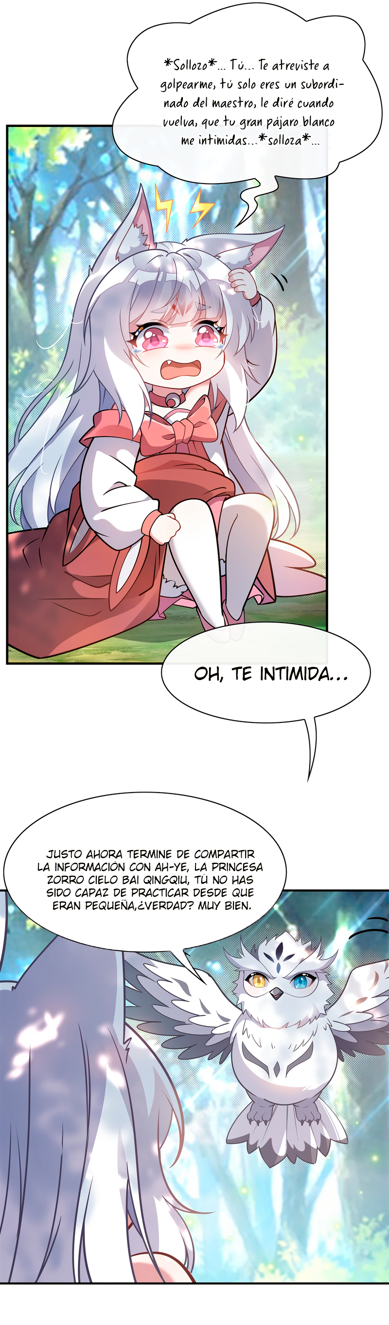 Página 7