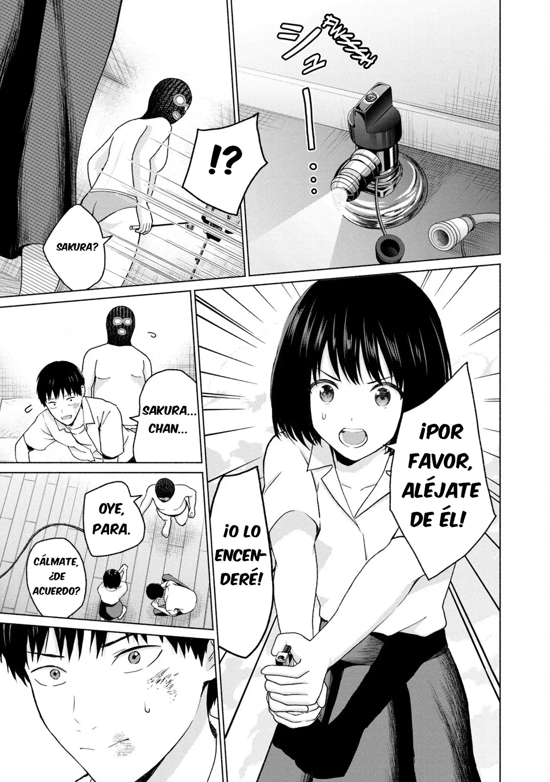 Página 17
