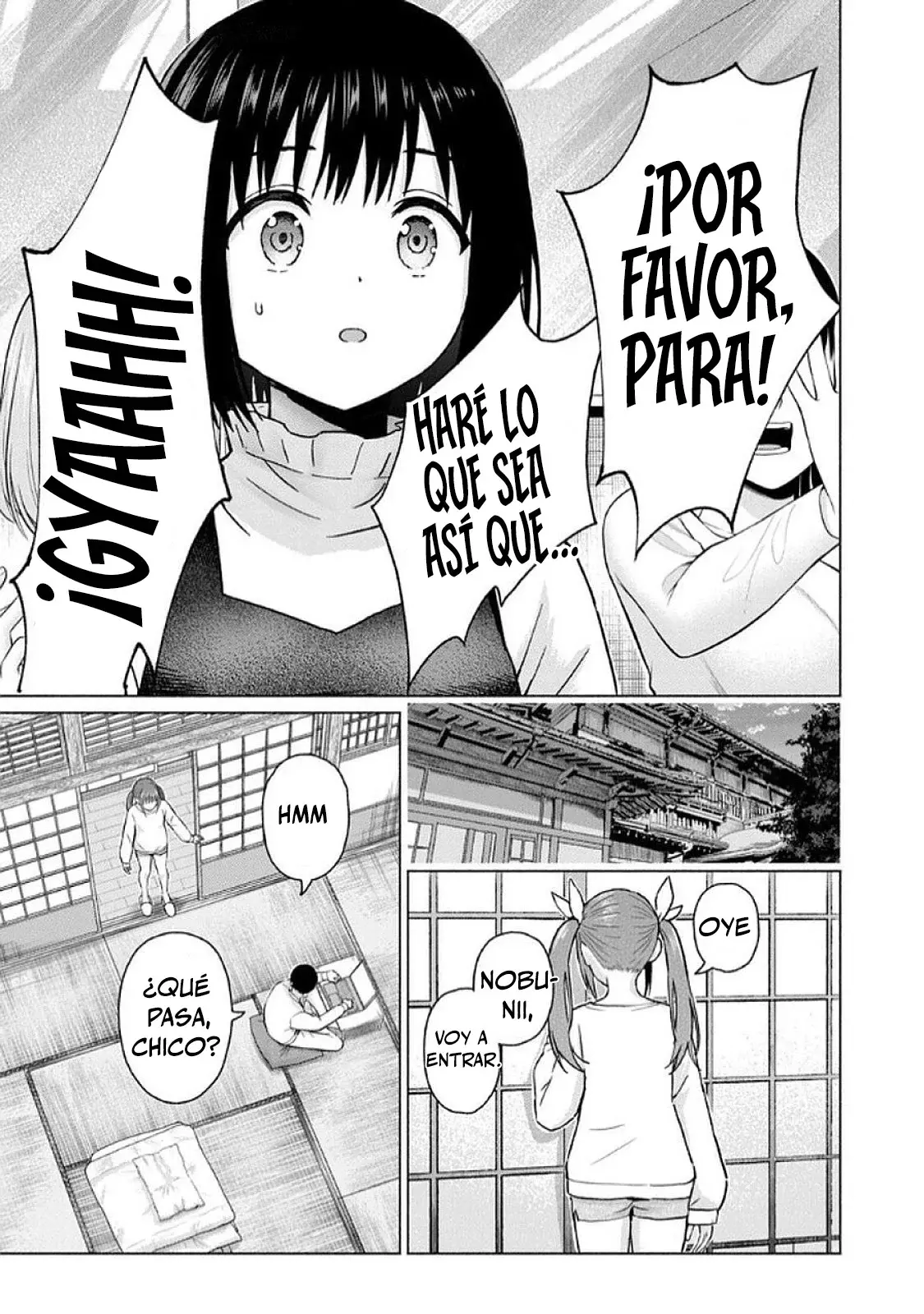 Página 17