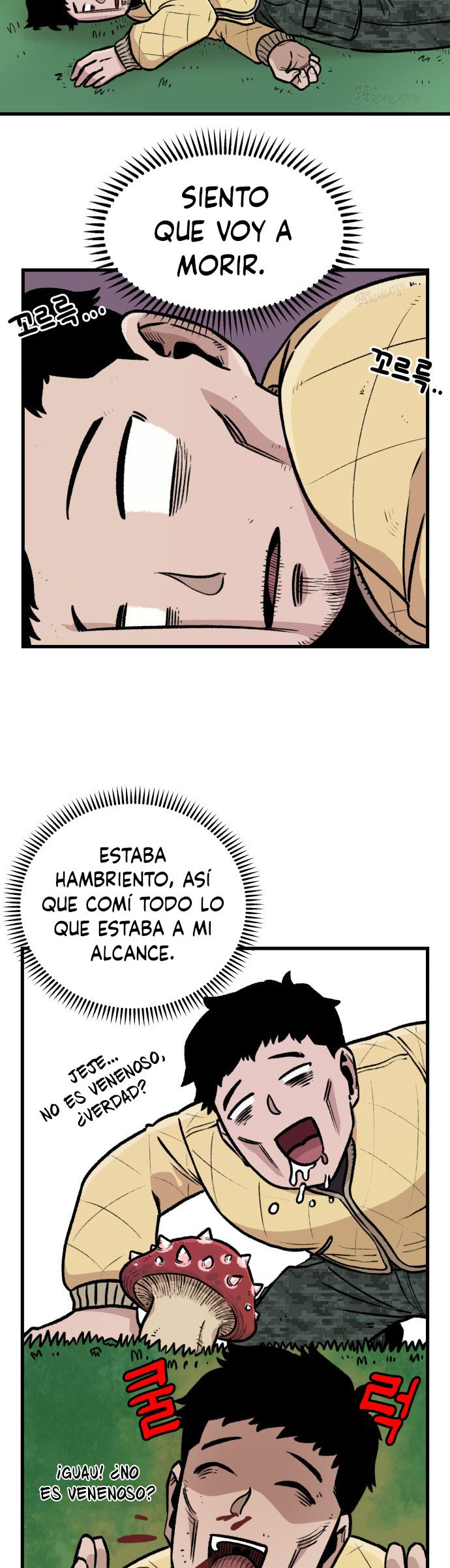 Página 3
