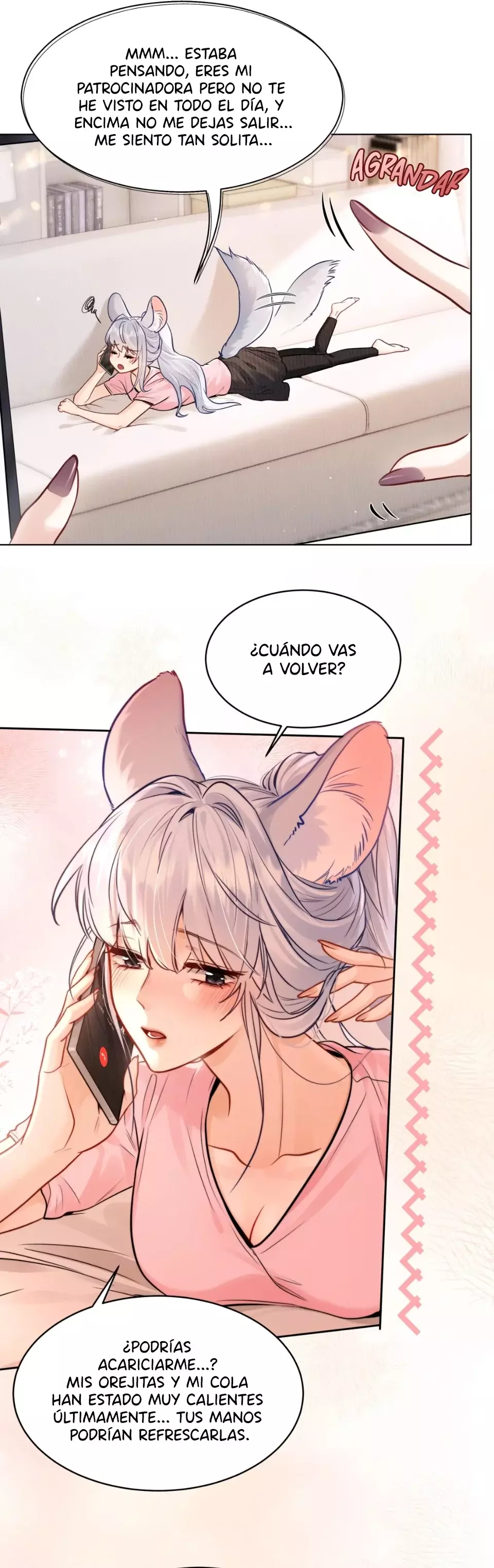 Página 5