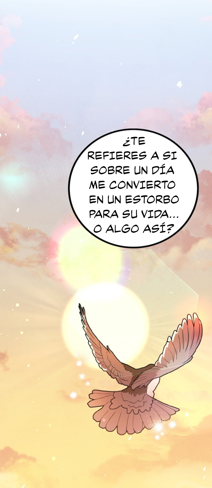 Página 51