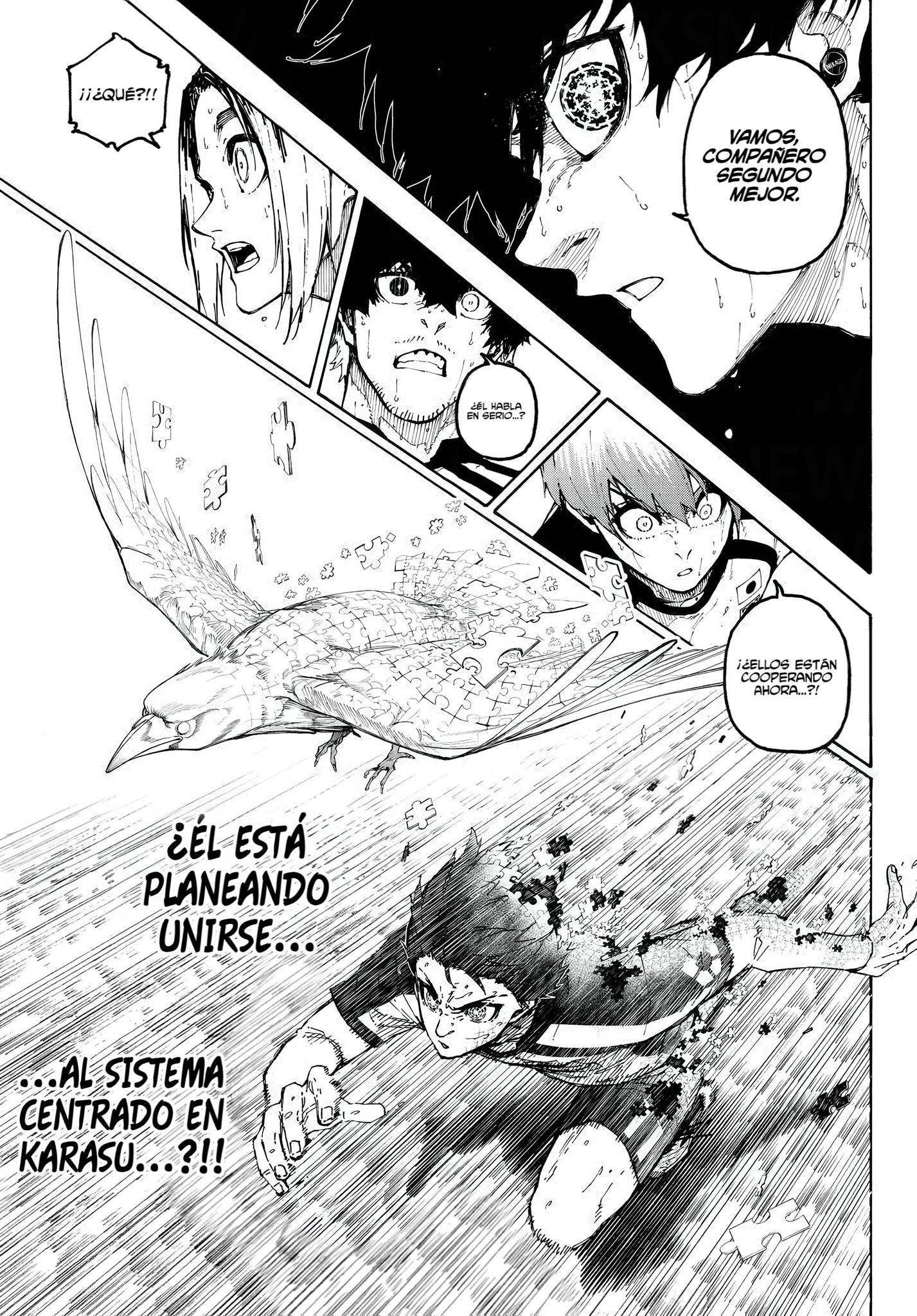 Página 5