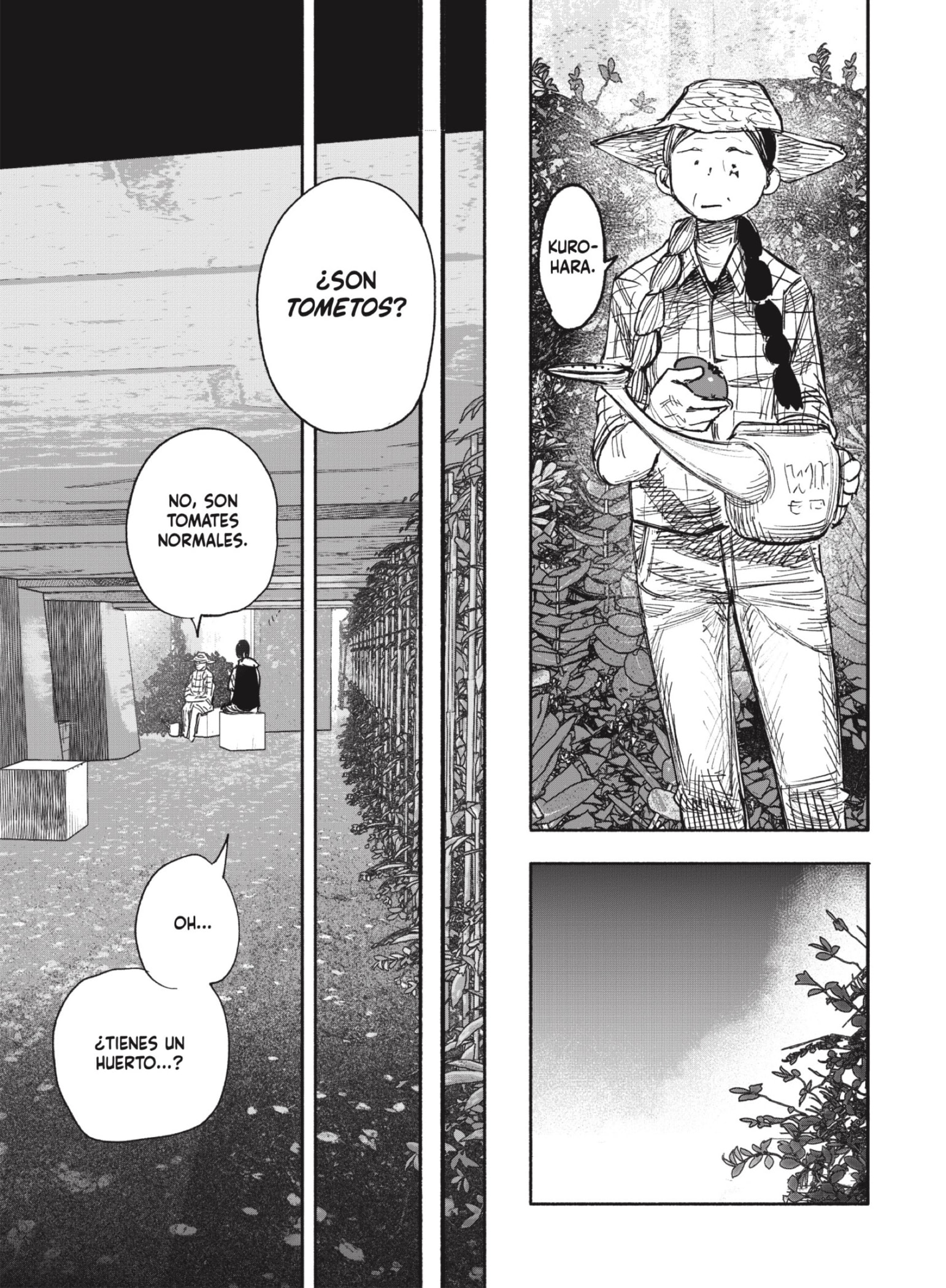 Página 6