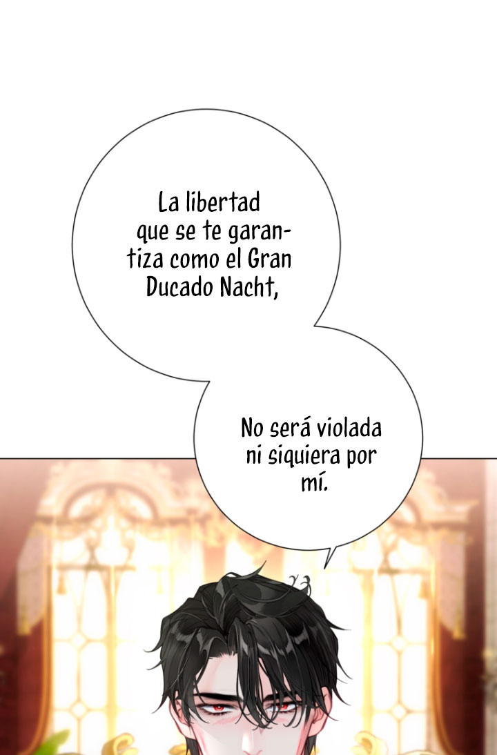 Página 40