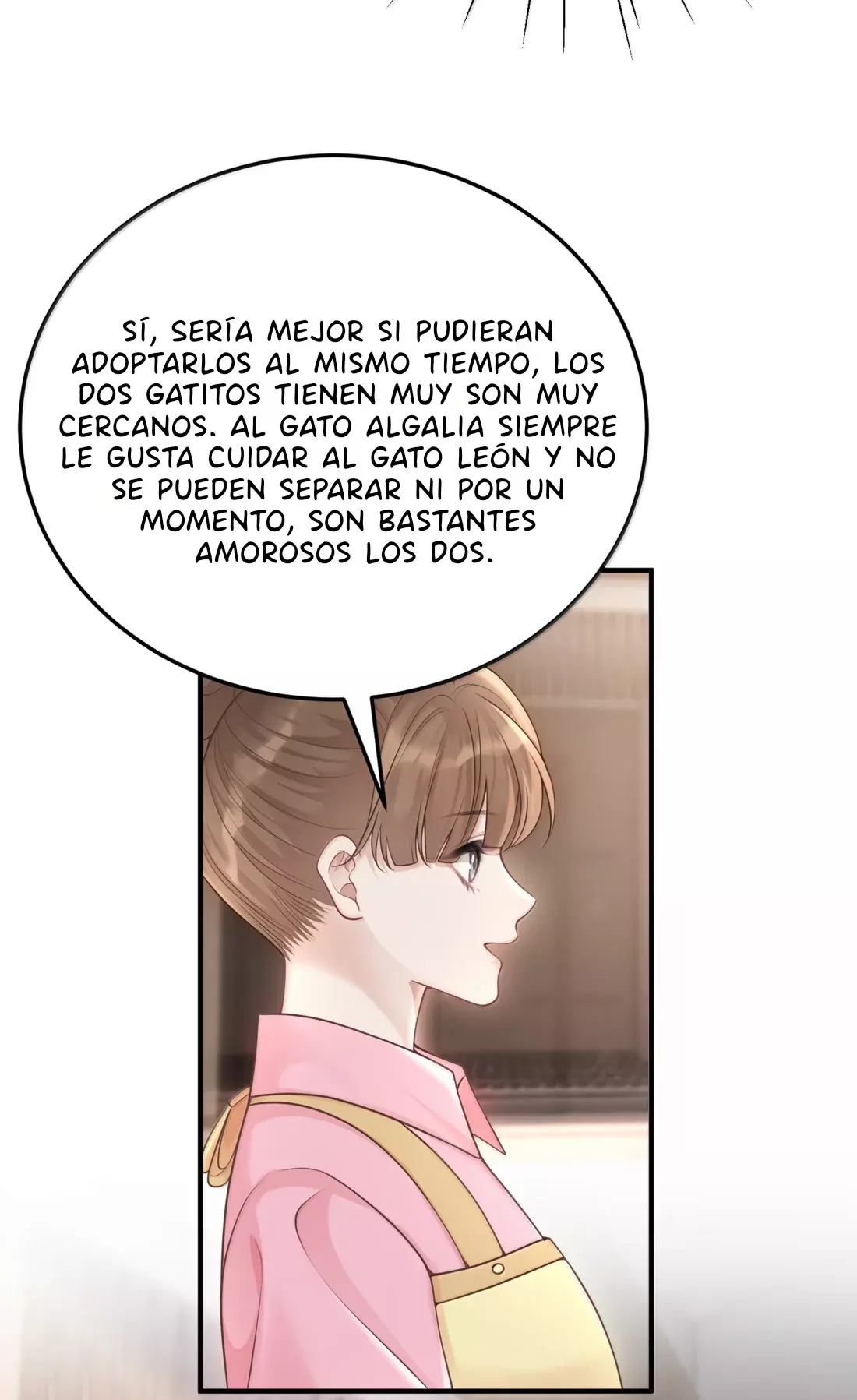 Página 29