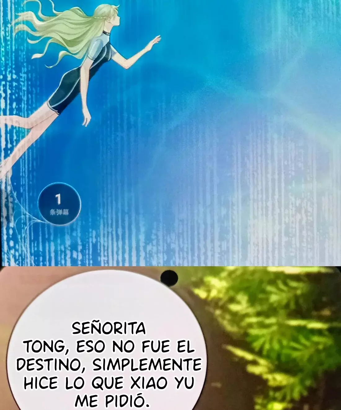 Página 51