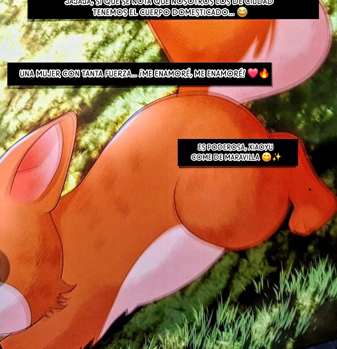 Página 49