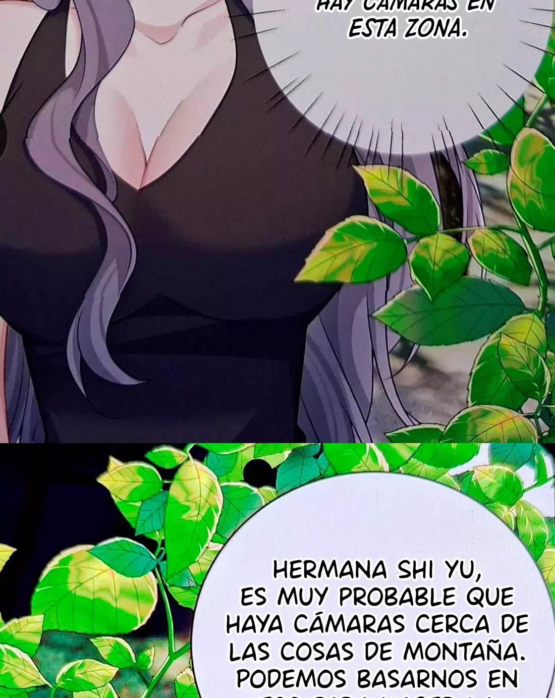 Página 6