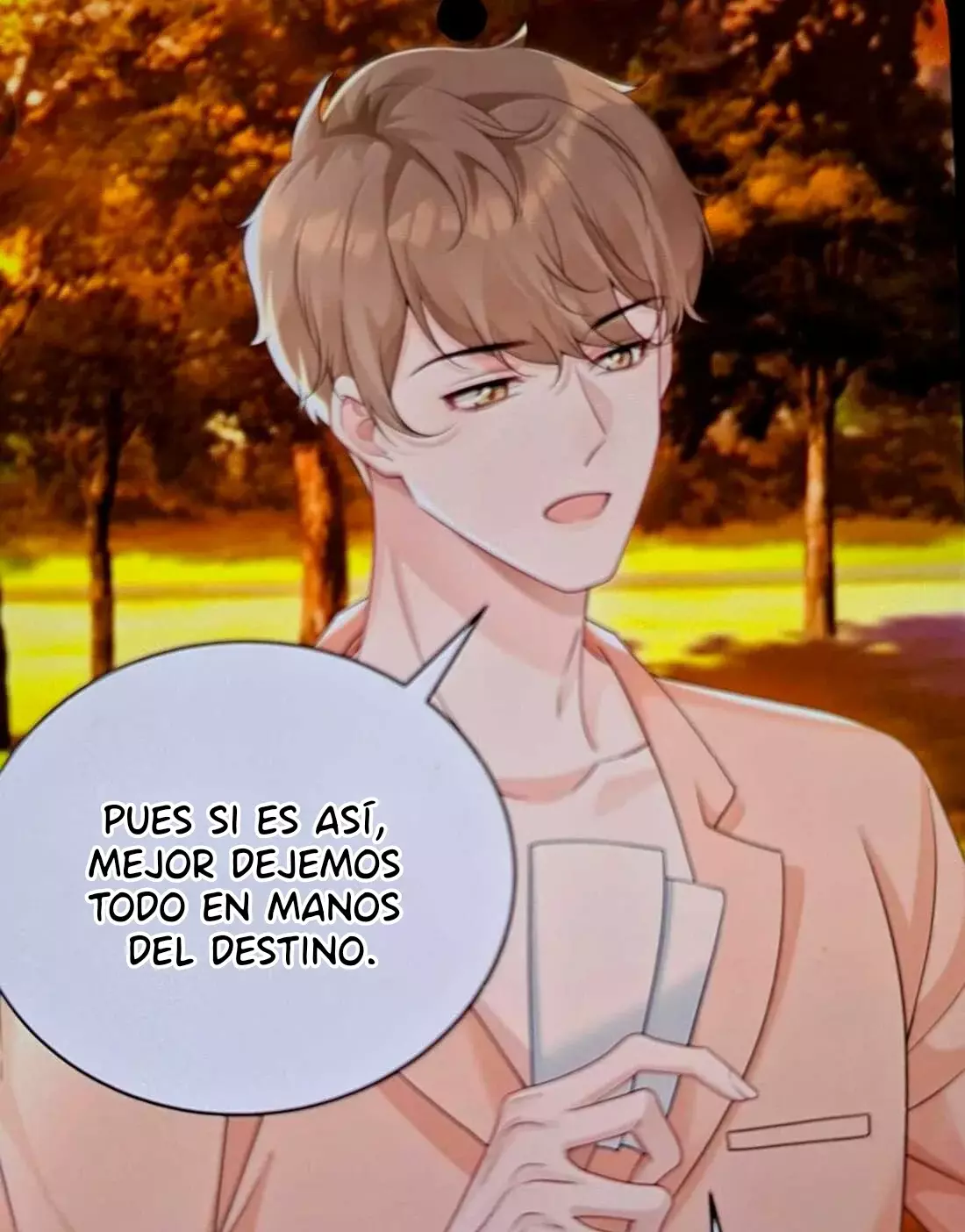 Página 43