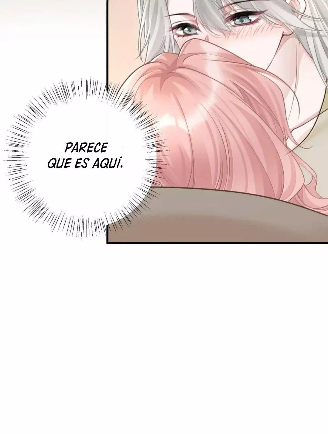 Página 41