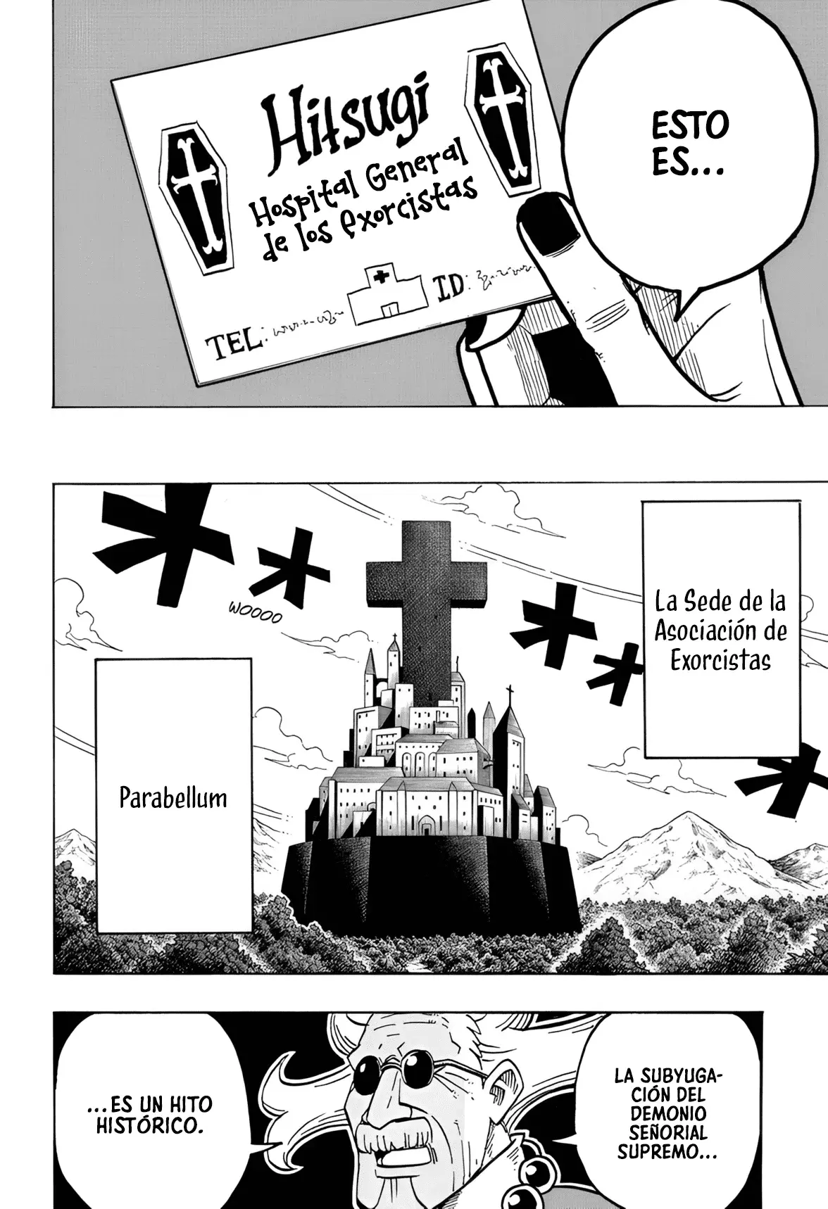 Página 17