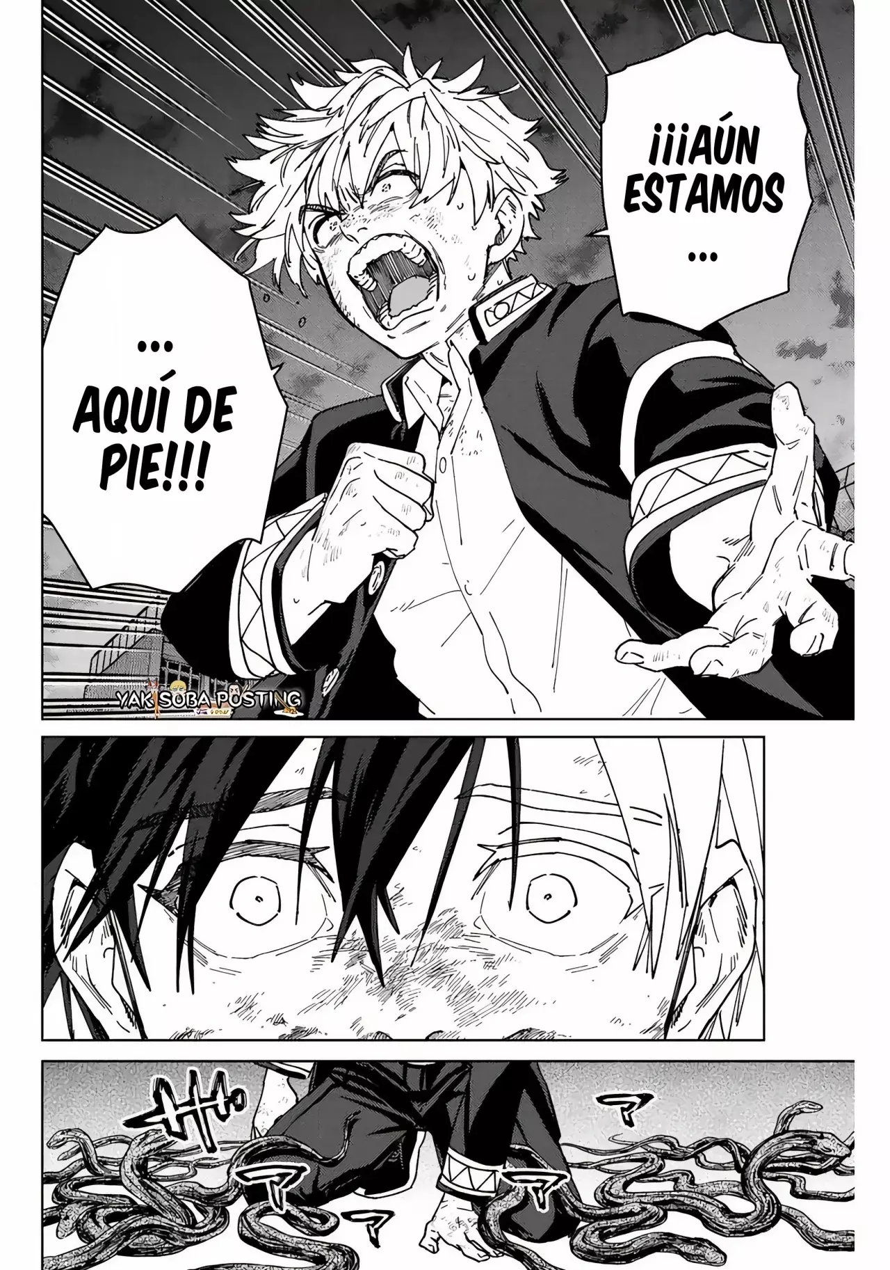 Página 12