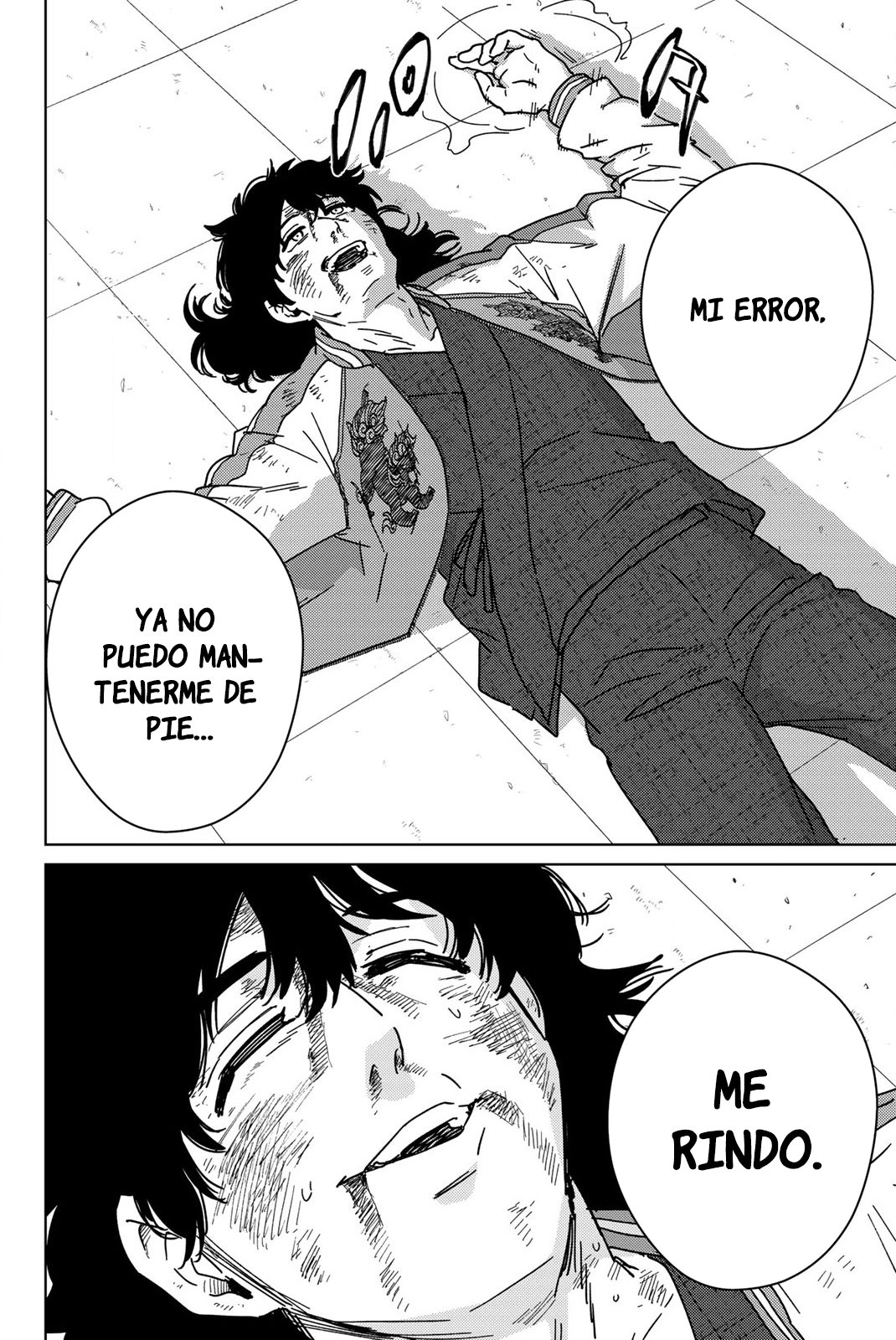 Página 17