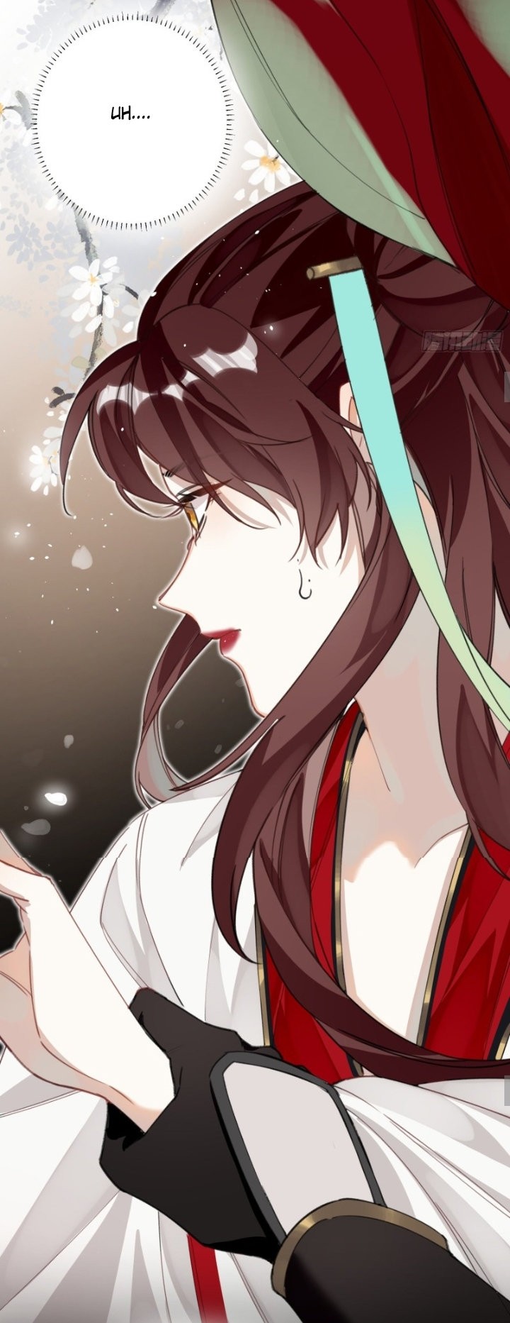 Página 17