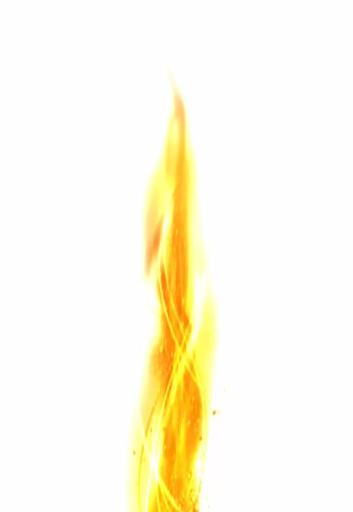 Página 83