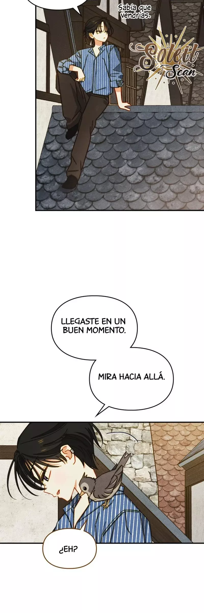 Página 36