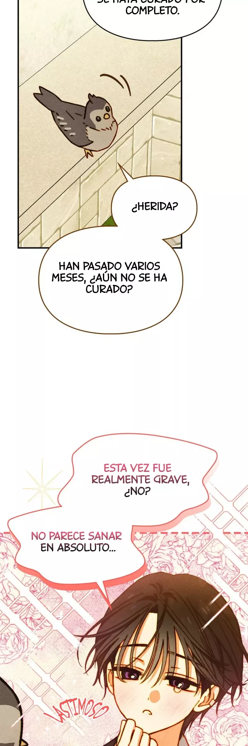Página 43