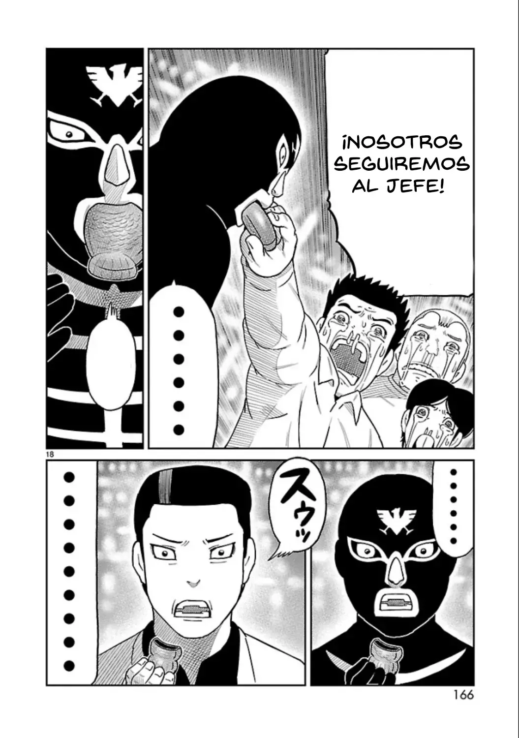 Página 17
