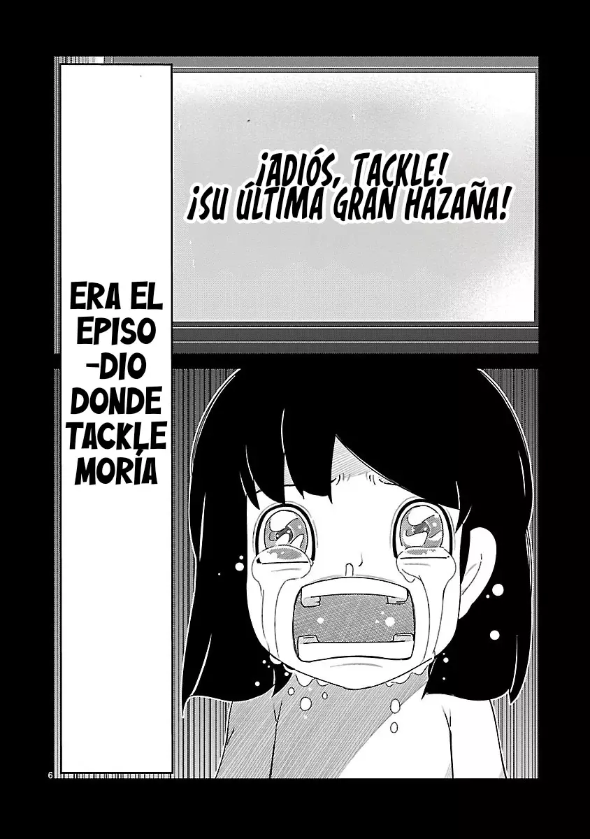 Página 7