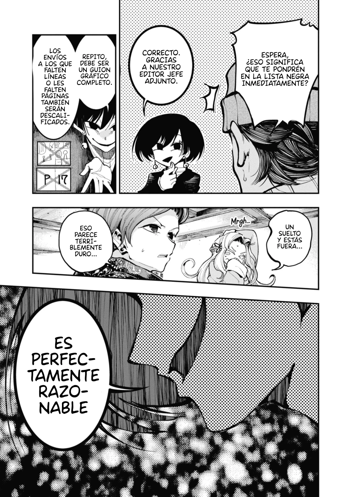 Página 17