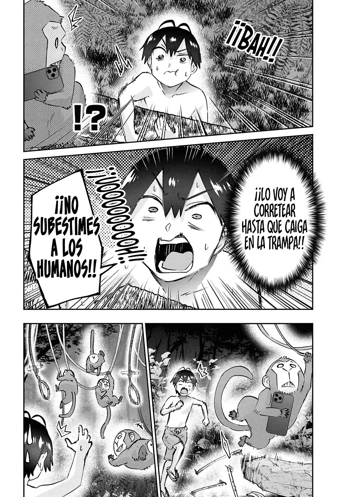 Página 17