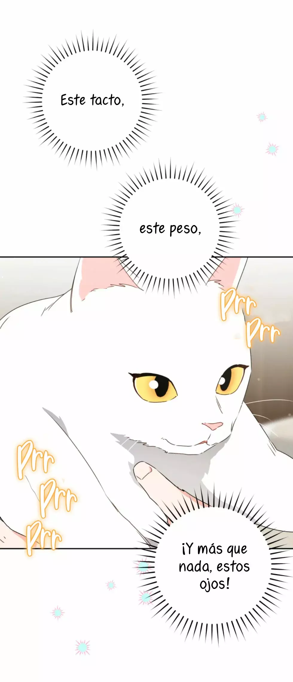 Página 65