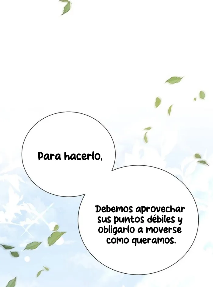 Página 116