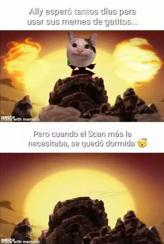 Página 91