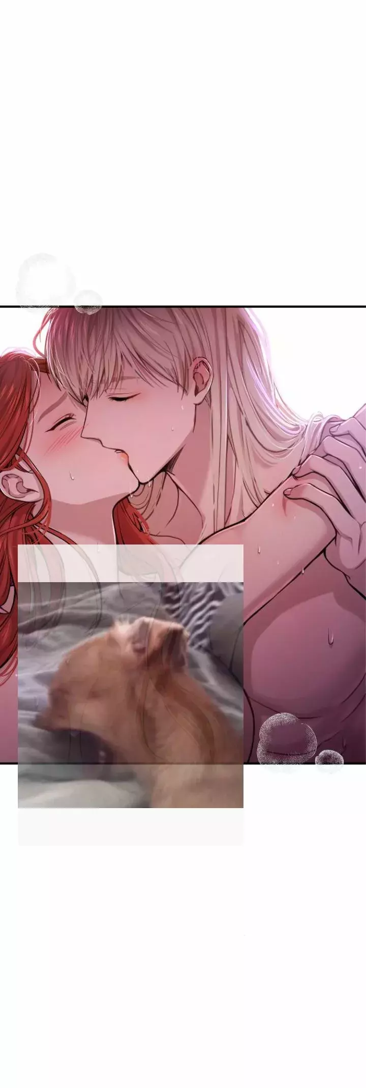 Página 102