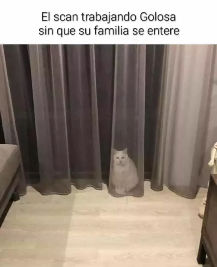 Página 116