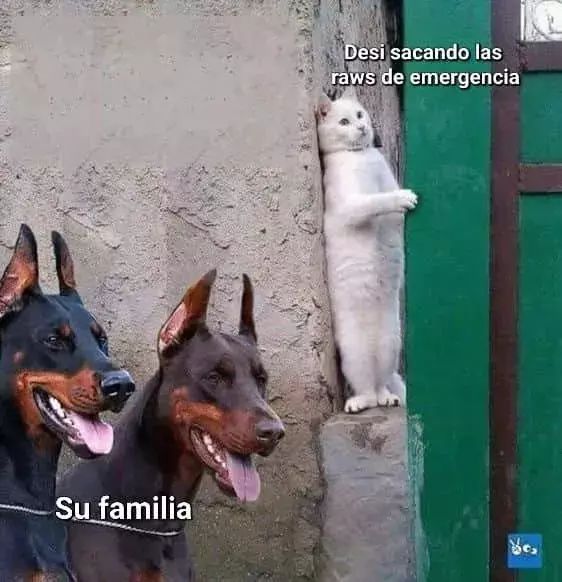 Página 118