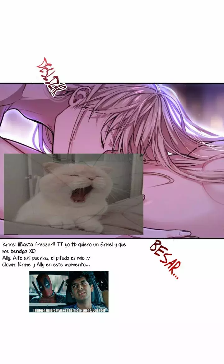 Página 26