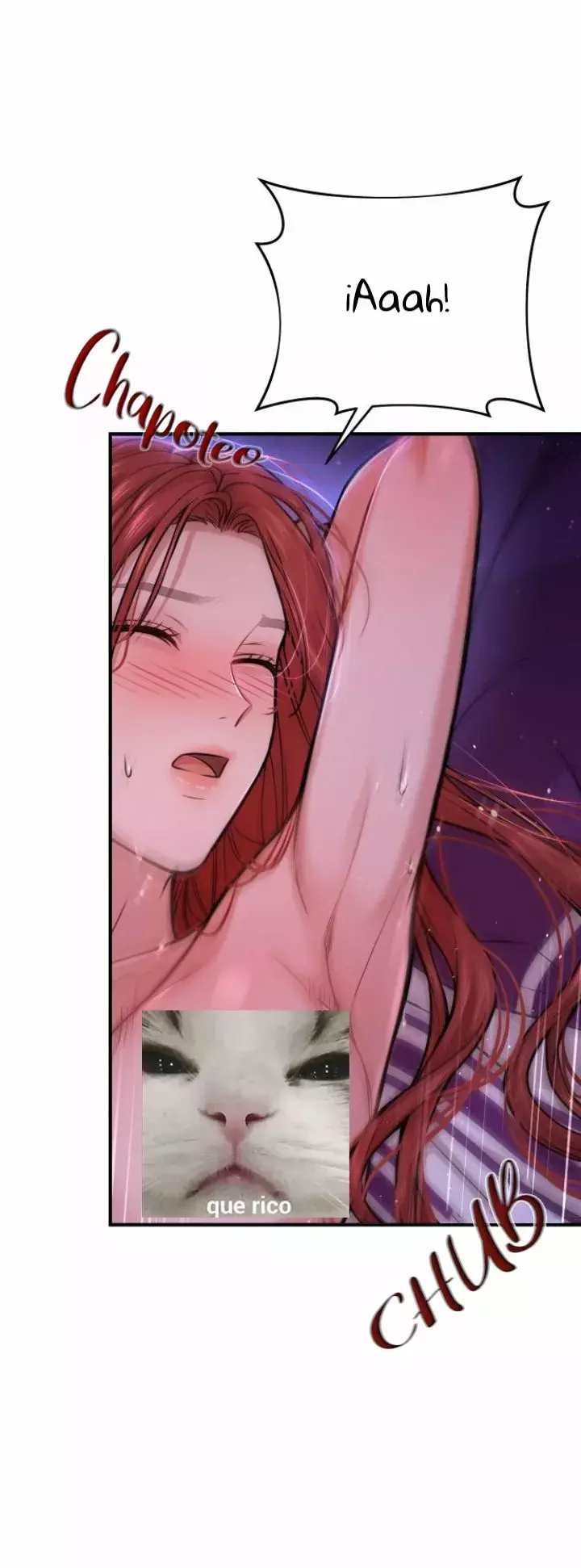 Página 48