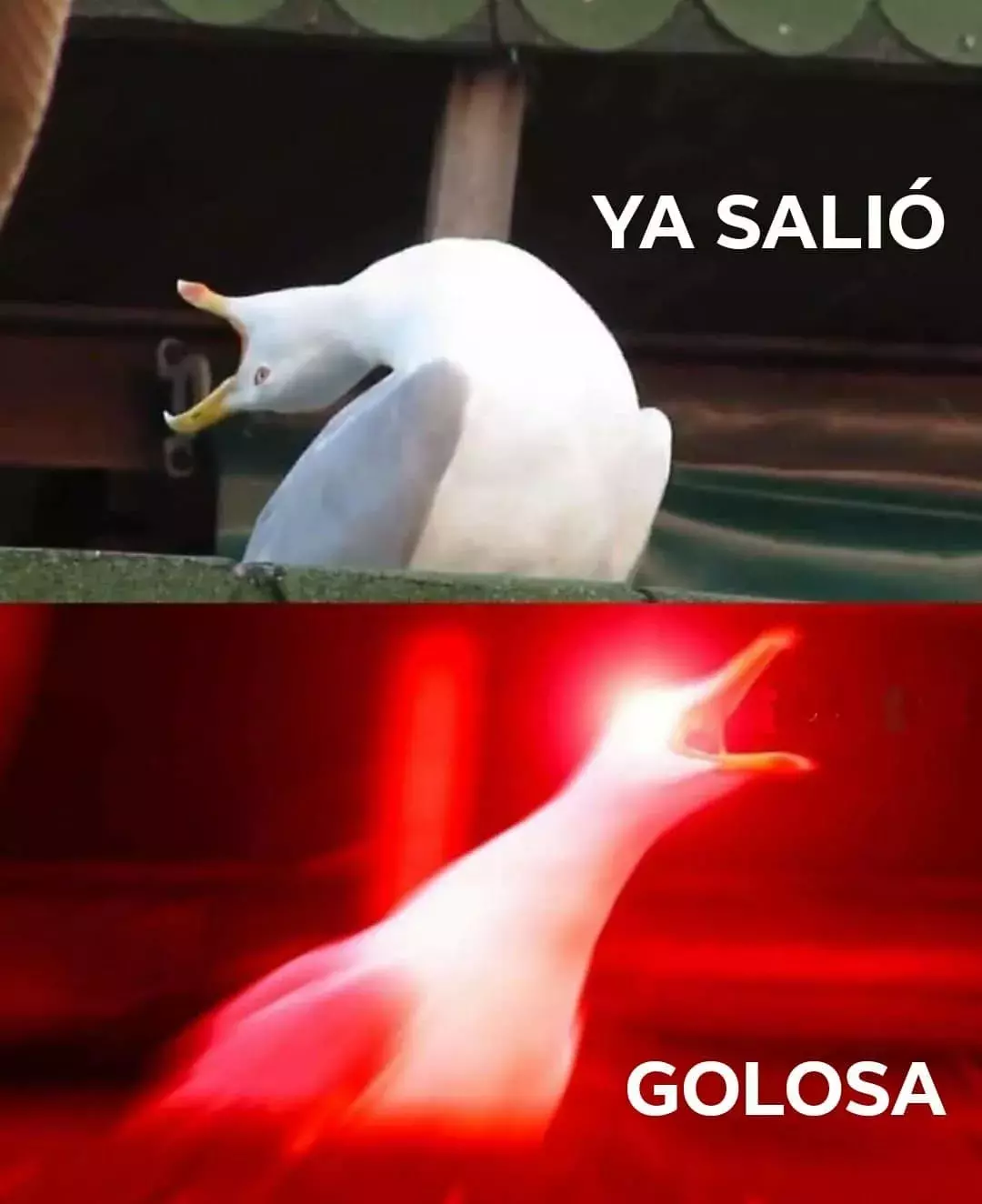 Página 120