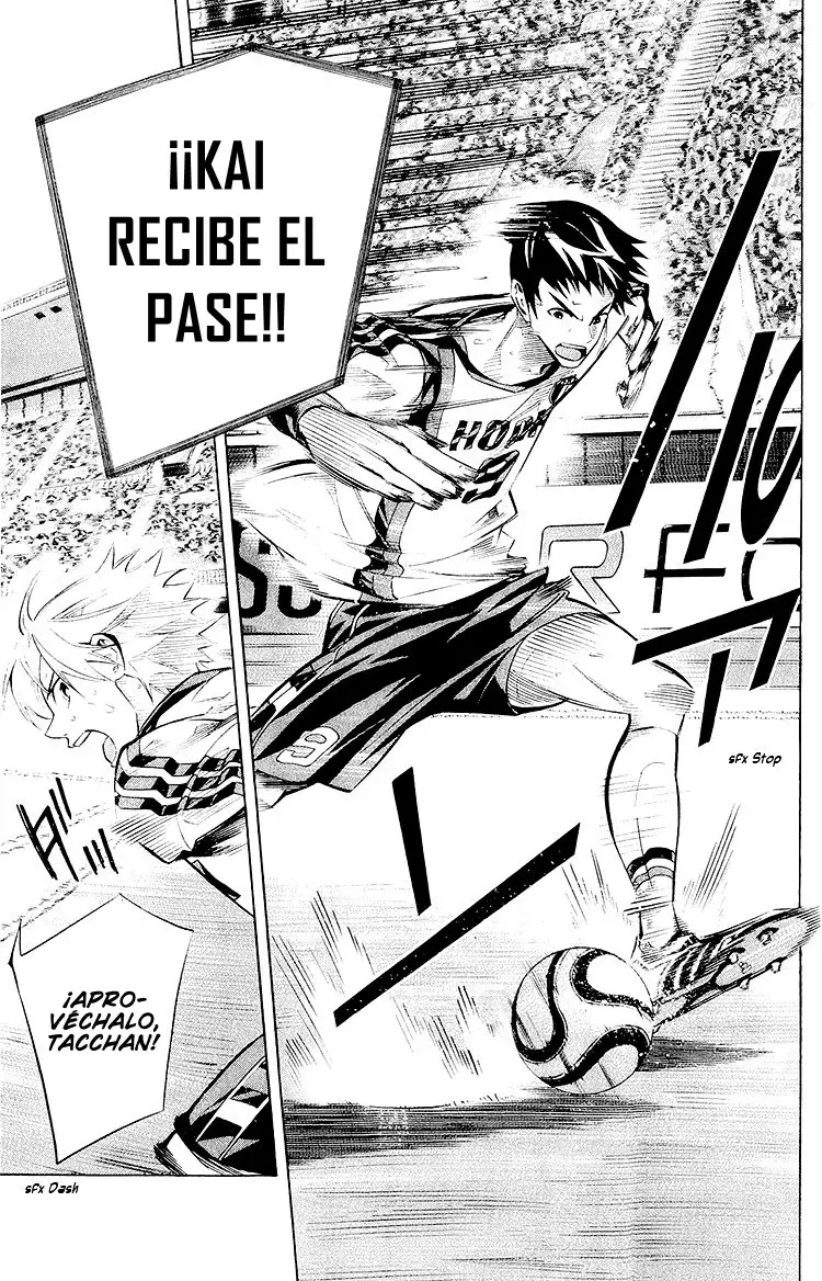 Página 14